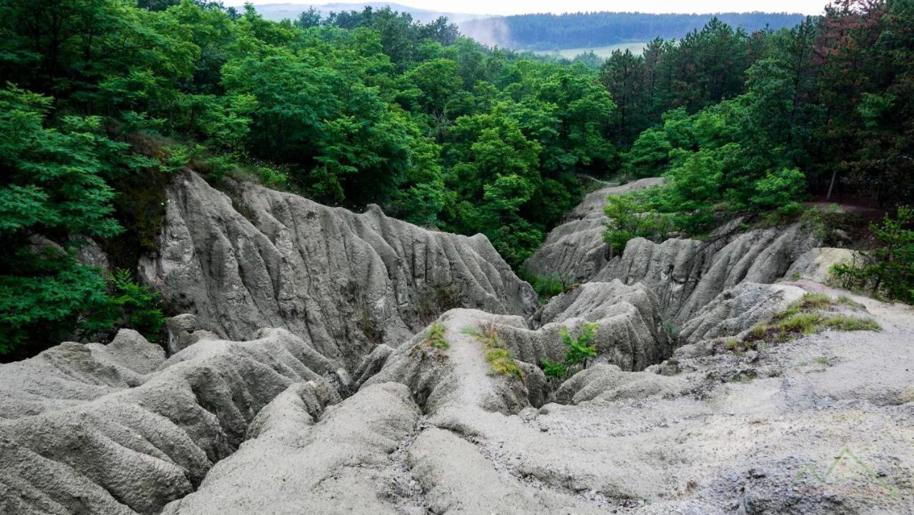 Goldapartman Salgótarján Dış mekan fotoğraf